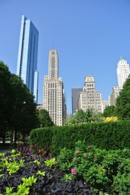 Chicago Park
