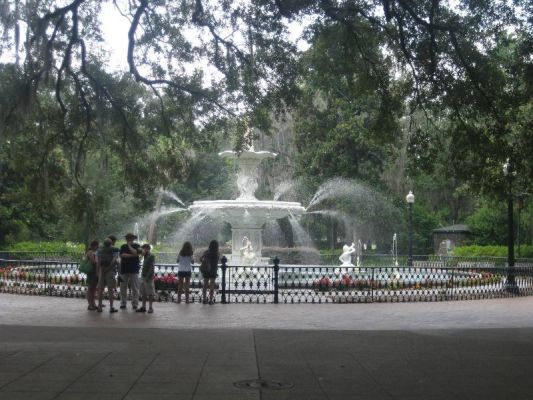 Savannah
