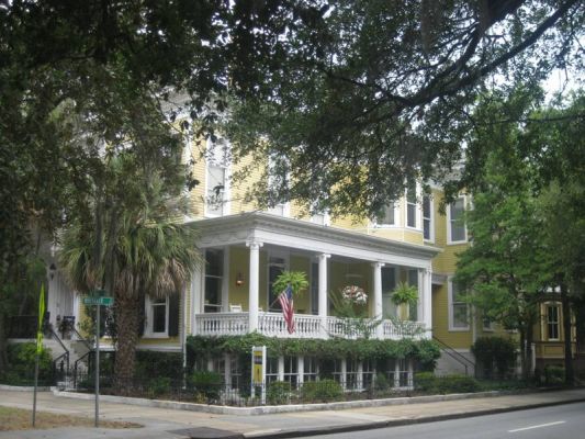 Savannah
