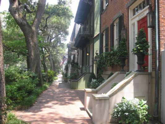 Savannah
