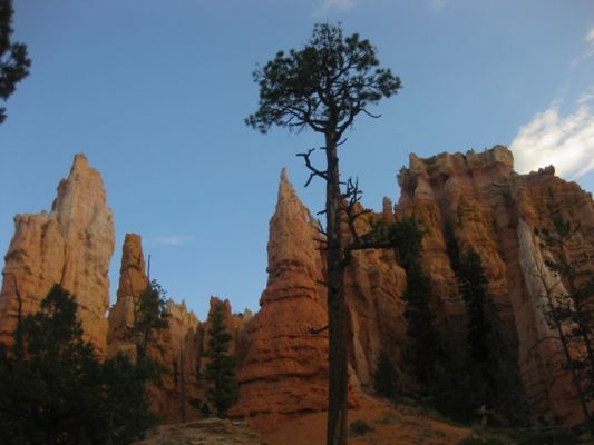 Bryce Canyon Queensgarden
