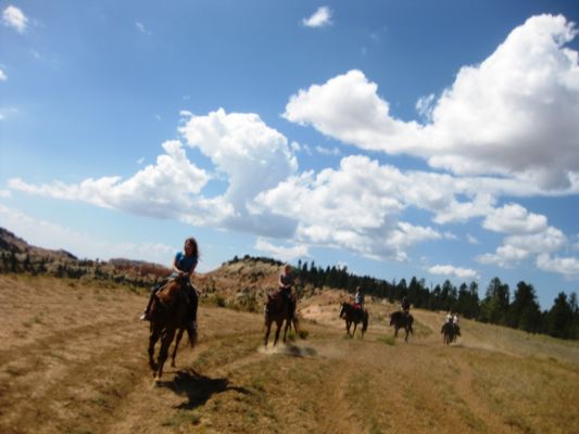 Bryce Canyon Horsebackriding
