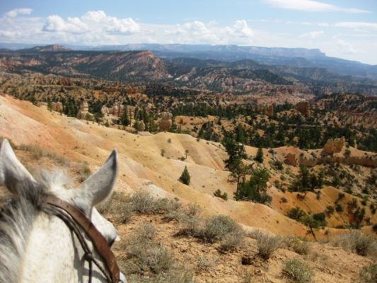 Bryce Canyon Horsebackriding
