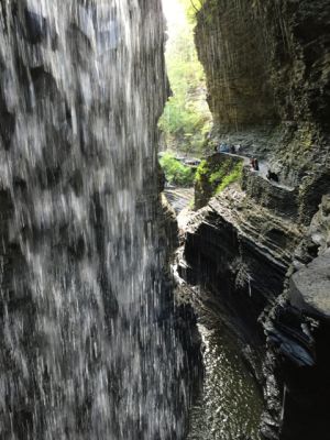 Finger Lakes

