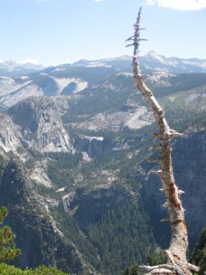 Yosemite NP
