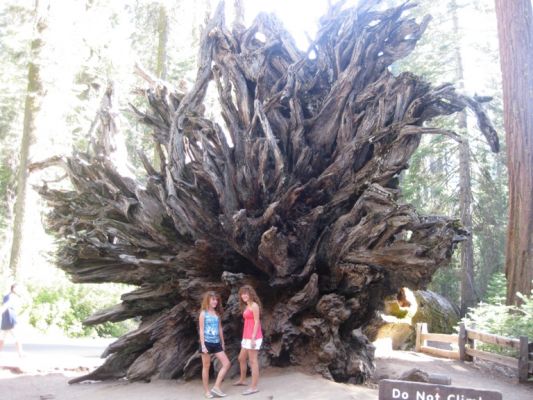 Yosemite NP
