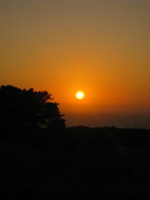 Highway 1
