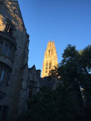 Yale
