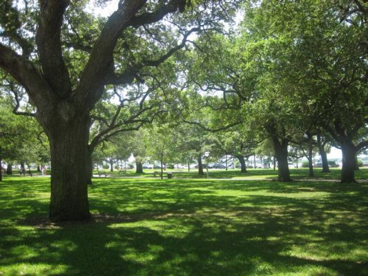 Charleston
