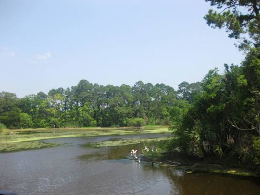 Boone Hall
