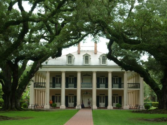 Oak Alley
