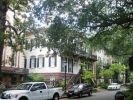 Savannah