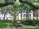 Savannah
