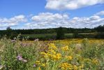 Finger Lakes