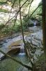 Finger Lakes