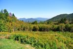 New England