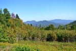 New England