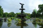 Central Park