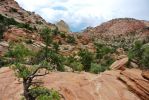 DSC_1798.JPG