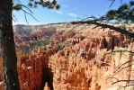 Bryce Navajo