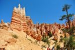 Bryce Queens