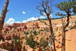 Bryce Queens 2