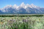 Grand Teton 6