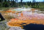 Yellowstone vor Morning Glory