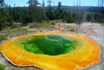 Yellowstone Morning Glory
