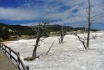 Yellowstone Mammoth 4