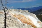 Yellowstone Mammoth 6