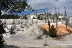 Yellowstone Mammoth Angel