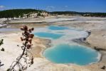 Yellowstone Norris Basin 7