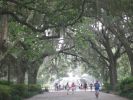 Savannah