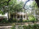 Savannah