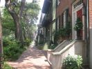 Savannah