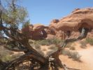 Arches NP