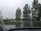 IMG_1405.jpeg