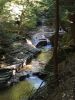 Finger Lakes