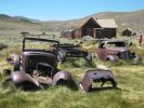 Bodie