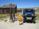 Bodie