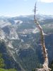 Yosemite NP