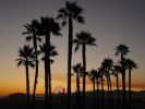 Santa Monica