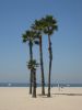 Santa Monica