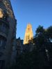 Yale