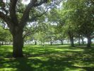 Charleston