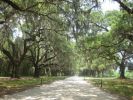 Boone Hall