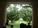 Oak Alley