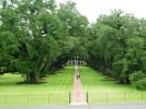 Oak Alley