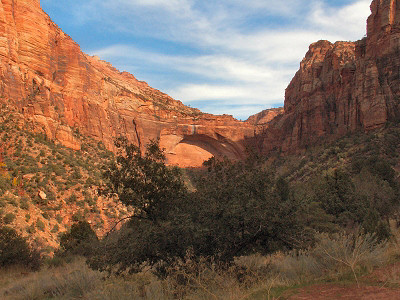 Arch im Zion NP
Schlüsselwörter: Zion NP